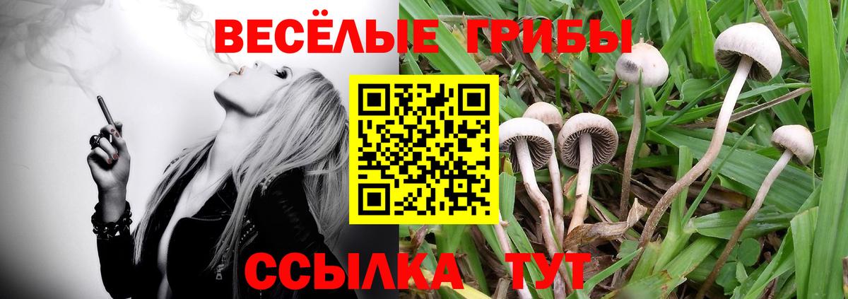 Галлюциногенные грибы ЛСД Находка